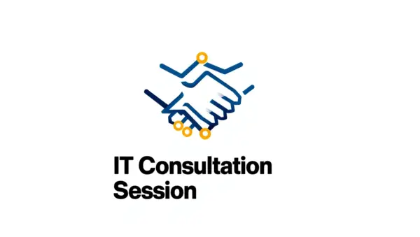 IT Consultation Session