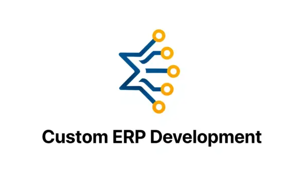 Custom ERP Development